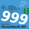 Herzschlaufe Wil (1/1)