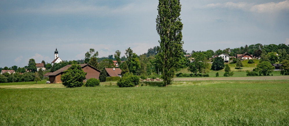 Niederbüren (1/1)